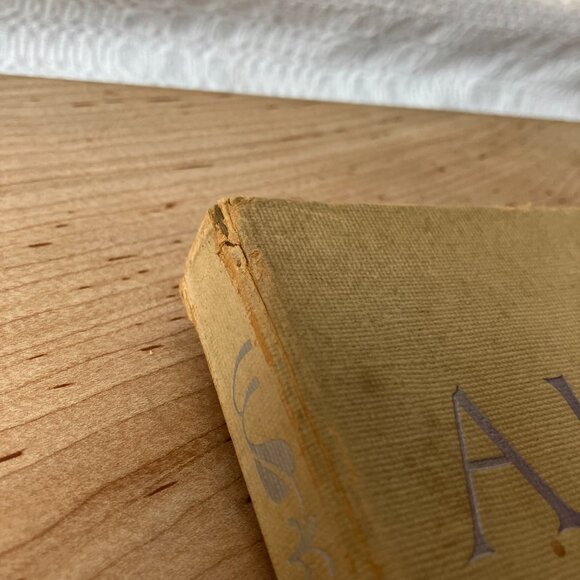 Audubon Birds Of America: 46 Of 50 Color Plates Selected by Roger T Peterson - Picture 13 of 15